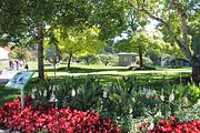 62 - Butchard Gardens  - IMG_1657